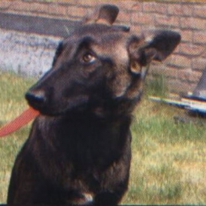 Micha, wantrouwig en bang van haar bazin